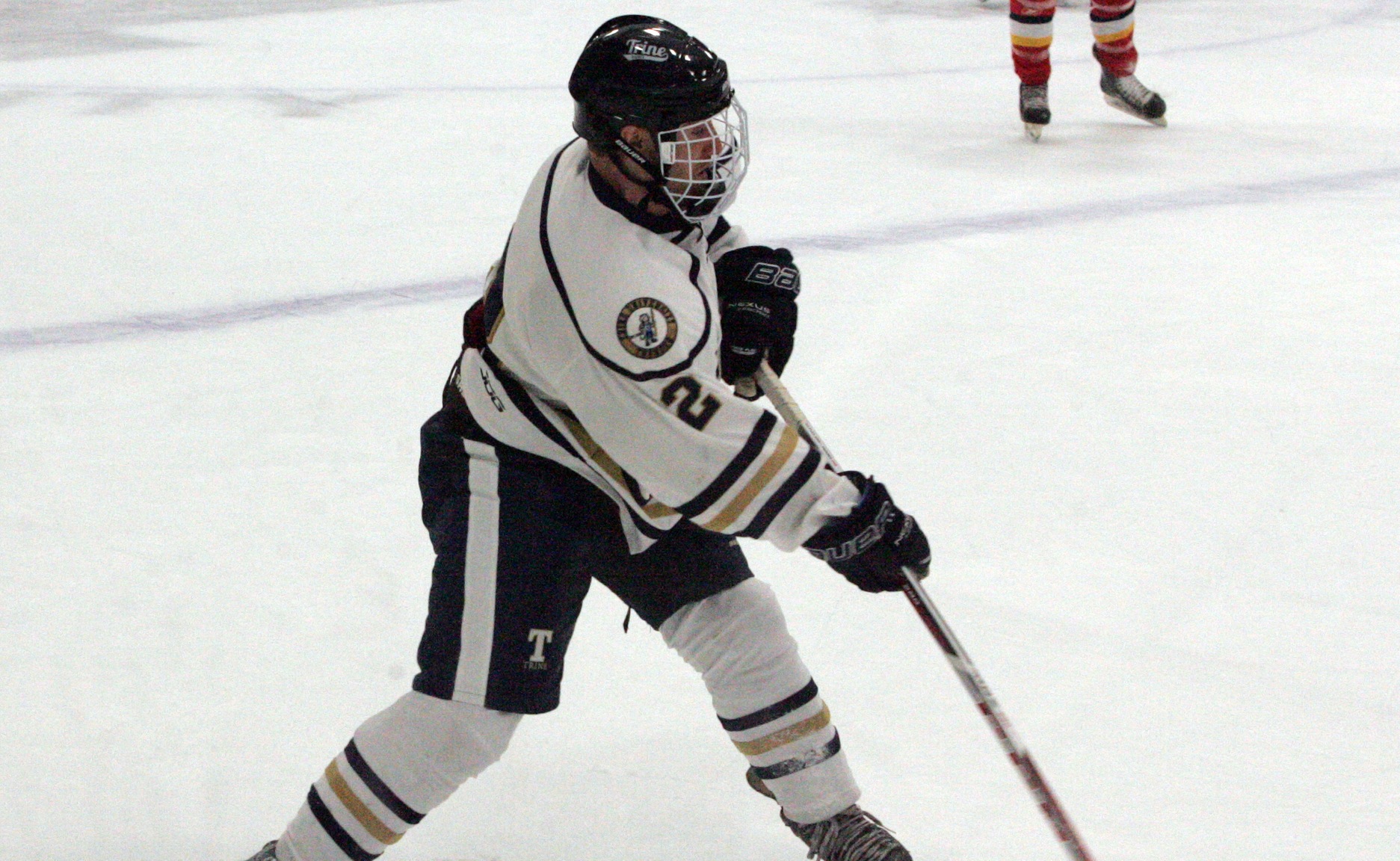 ACHA D2 Sweeps Panthers