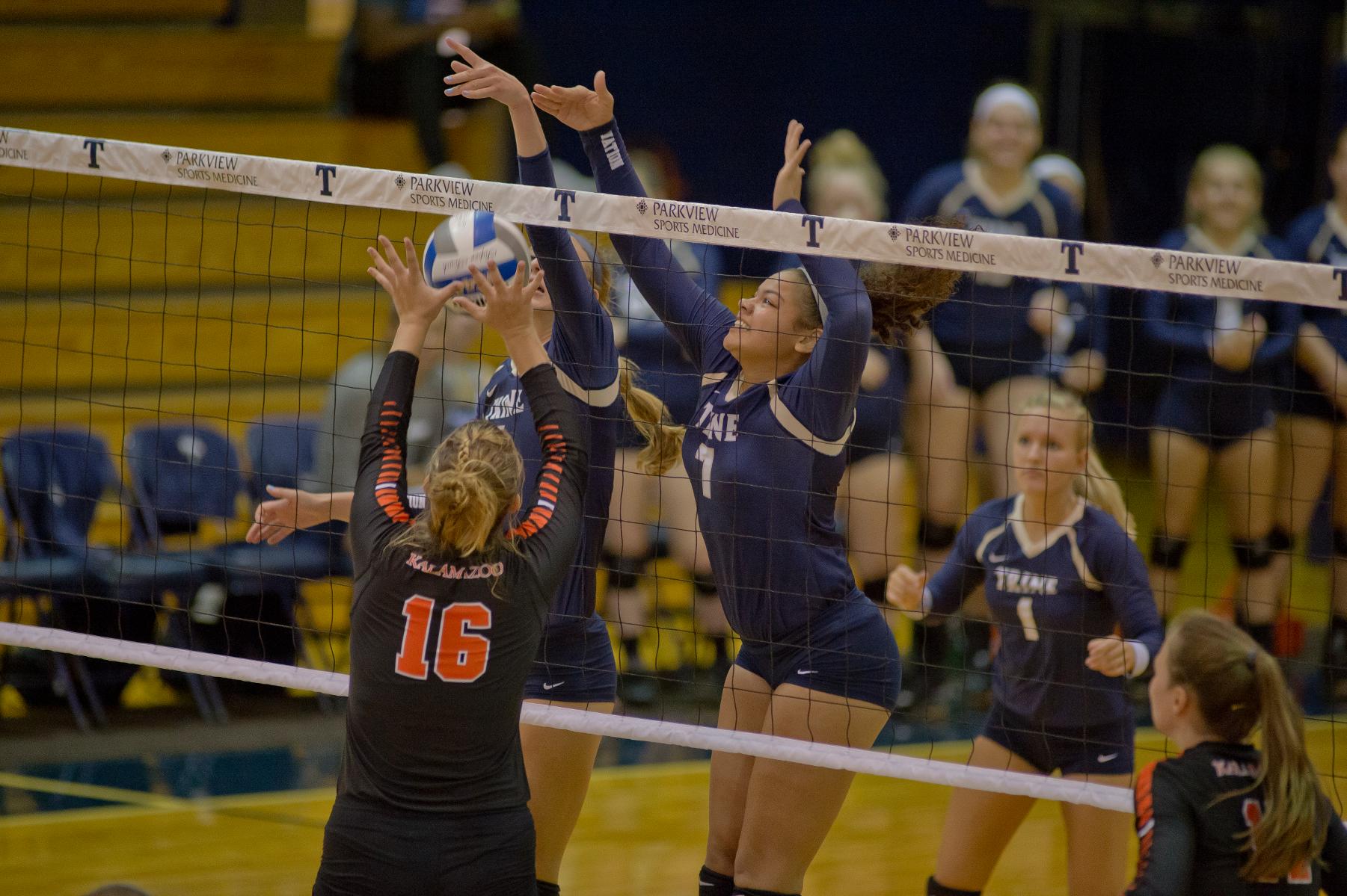 Volleyball Team Hosting Clinic June 8