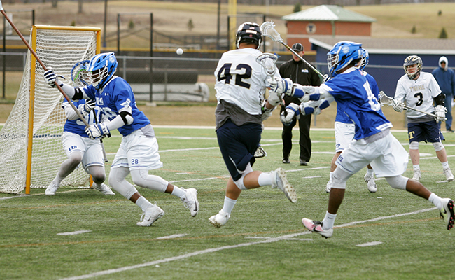 Comeback Against Albion Falls Short for MLAX