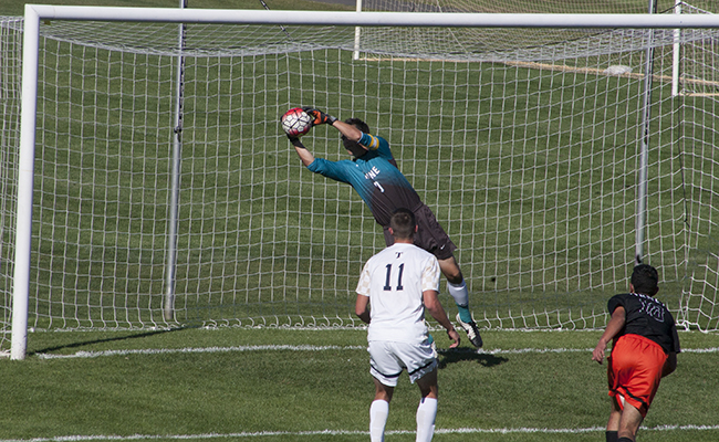 Men's Soccer Shuts Out Albion for key Conference Victory